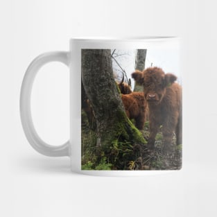 Scottish Highland Cattle Calf 1579 Mug